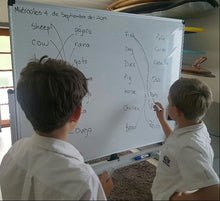Load image into Gallery viewer, Private Children's Lessons